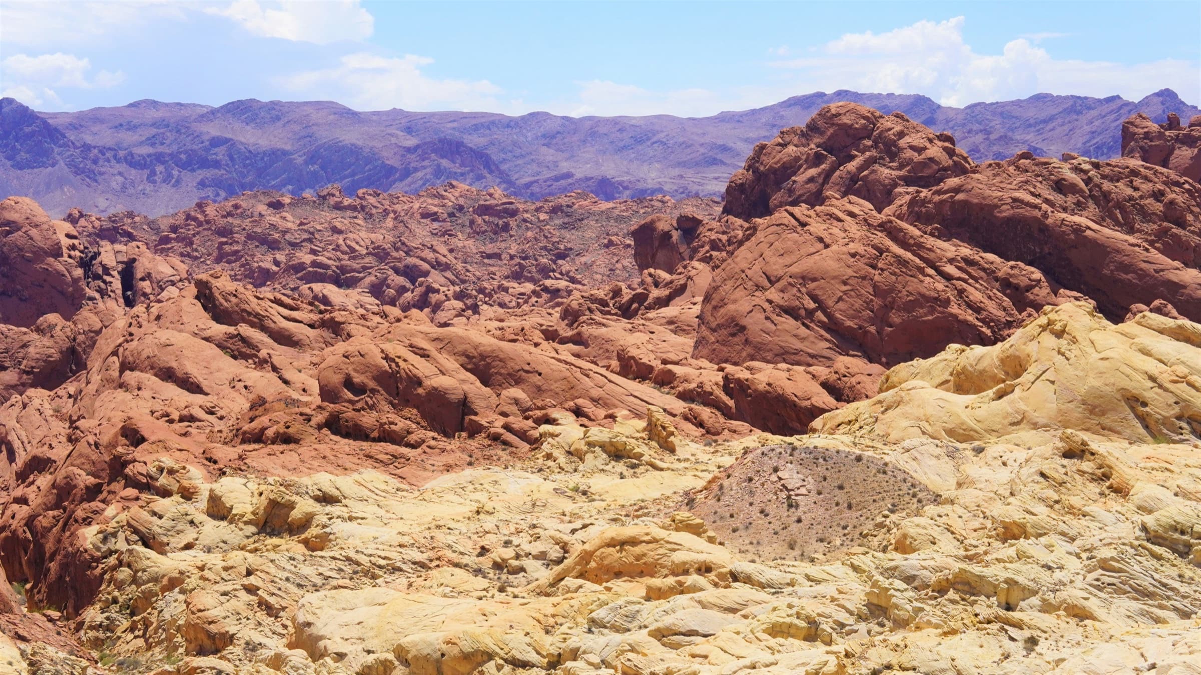 PHOTO 10 — DESERT POOL, MIDDAY
